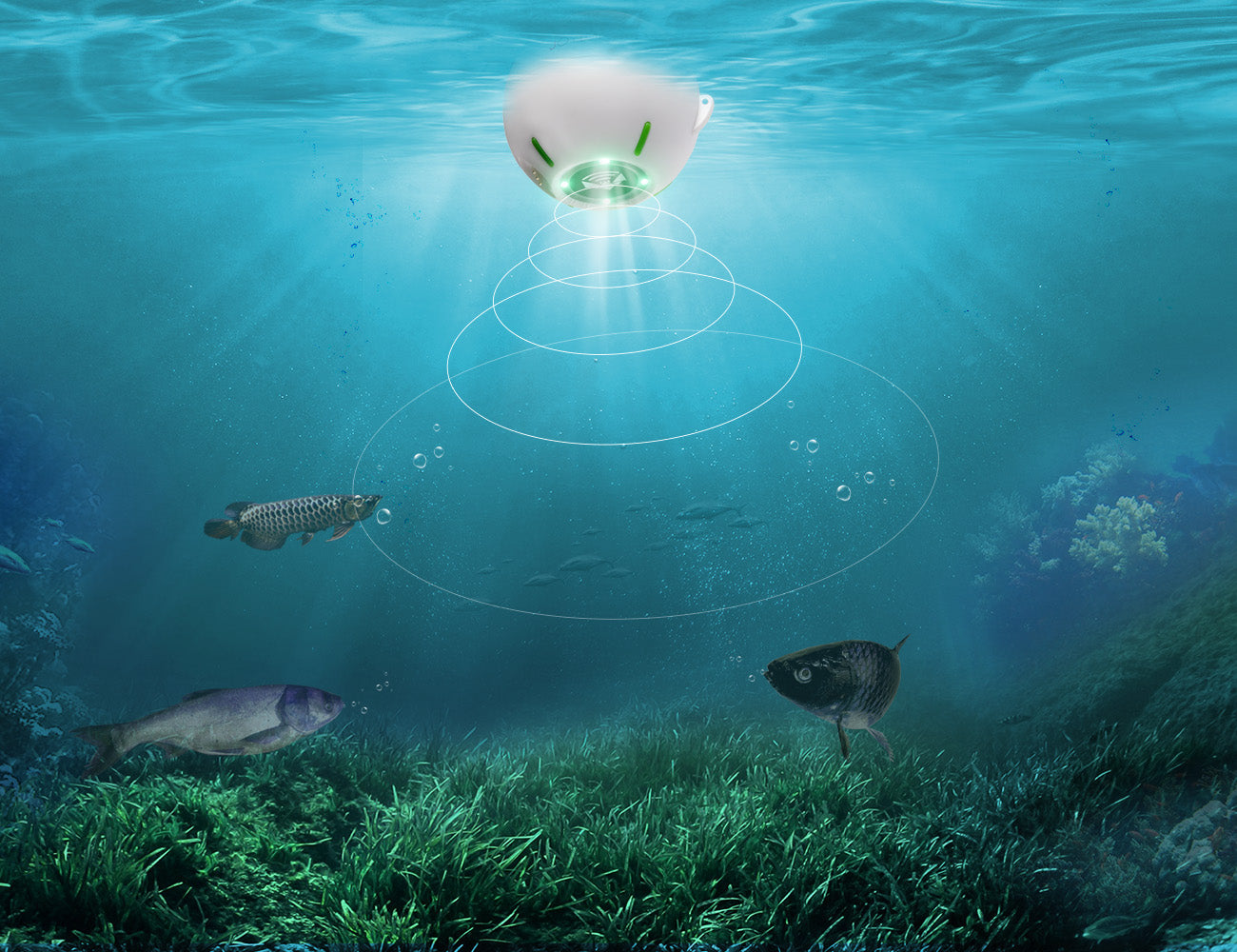 JOYLOG smart sonar fish finder – JOYLOG Official store